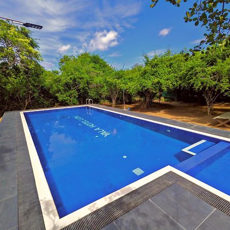 Yala Hotel Lion -Air Conditioned High Luxury Safari Camp Exteriér fotografie