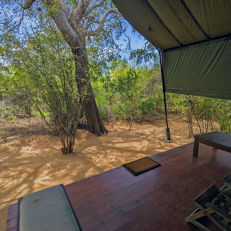 Yala Hotel Lion -Air Conditioned High Luxury Safari Camp Exteriér fotografie