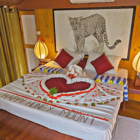 Yala Hotel Lion -Air Conditioned High Luxury Safari Camp Exteriér fotografie