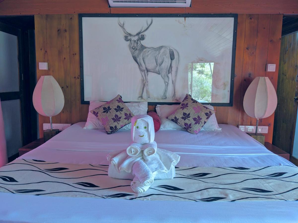 Yala Hotel Lion -Air Conditioned High Luxury Safari Camp Exteriér fotografie