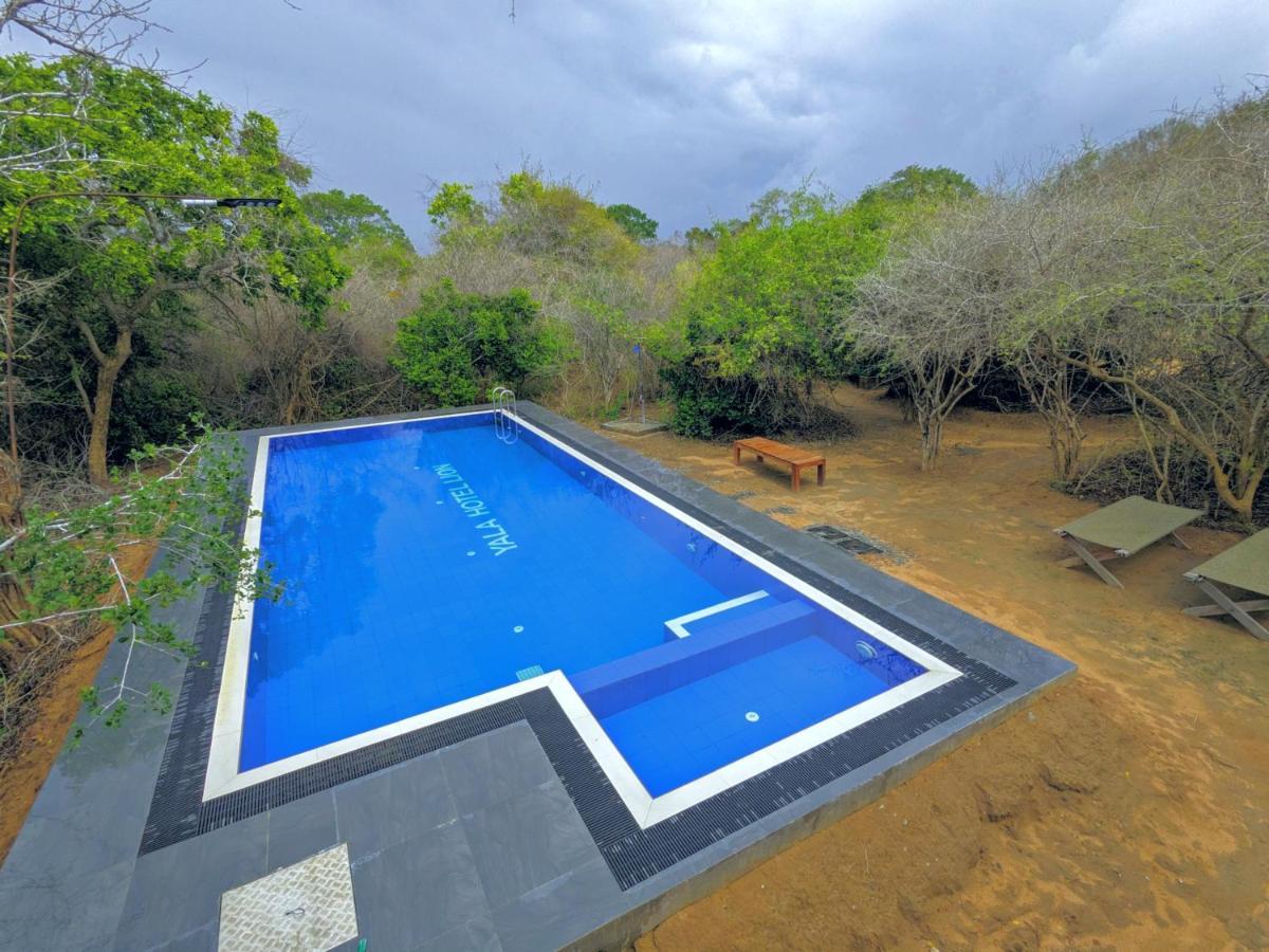 Yala Hotel Lion -Air Conditioned High Luxury Safari Camp Exteriér fotografie