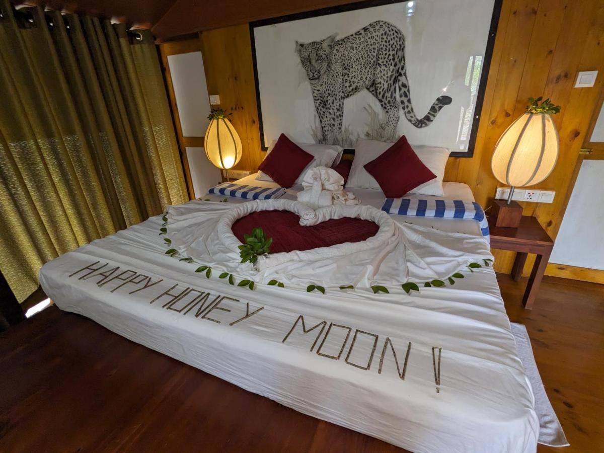 Yala Hotel Lion -Air Conditioned High Luxury Safari Camp Exteriér fotografie