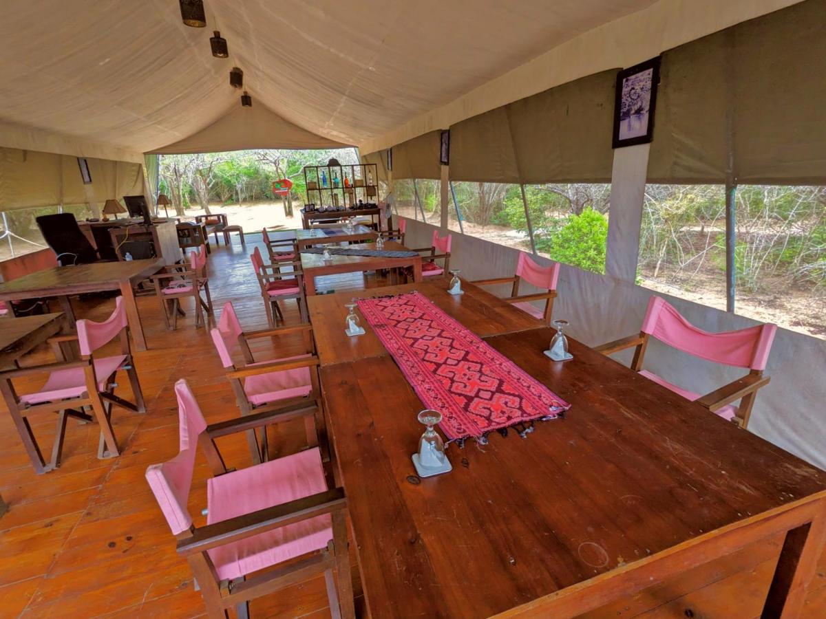Yala Hotel Lion -Air Conditioned High Luxury Safari Camp Exteriér fotografie