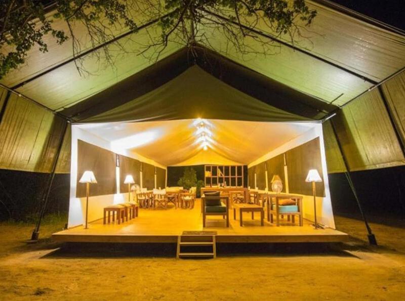 Yala Hotel Lion -Air Conditioned High Luxury Safari Camp Exteriér fotografie