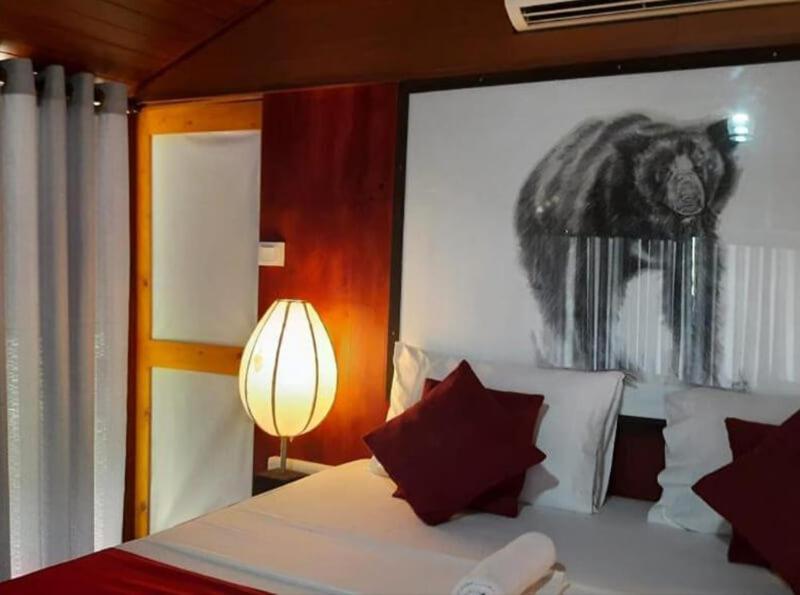 Yala Hotel Lion -Air Conditioned High Luxury Safari Camp Exteriér fotografie