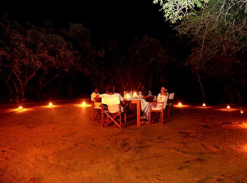 Yala Hotel Lion -Air Conditioned High Luxury Safari Camp Exteriér fotografie