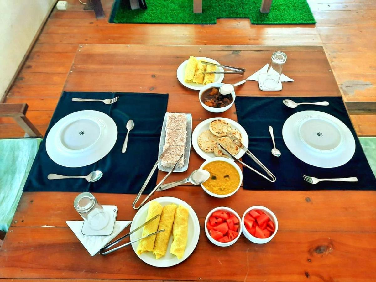 Yala Hotel Lion -Air Conditioned High Luxury Safari Camp Exteriér fotografie