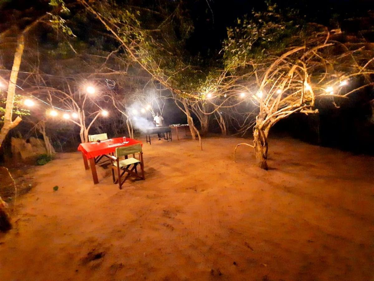 Yala Hotel Lion -Air Conditioned High Luxury Safari Camp Exteriér fotografie