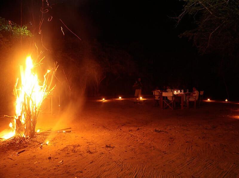 Yala Hotel Lion -Air Conditioned High Luxury Safari Camp Exteriér fotografie