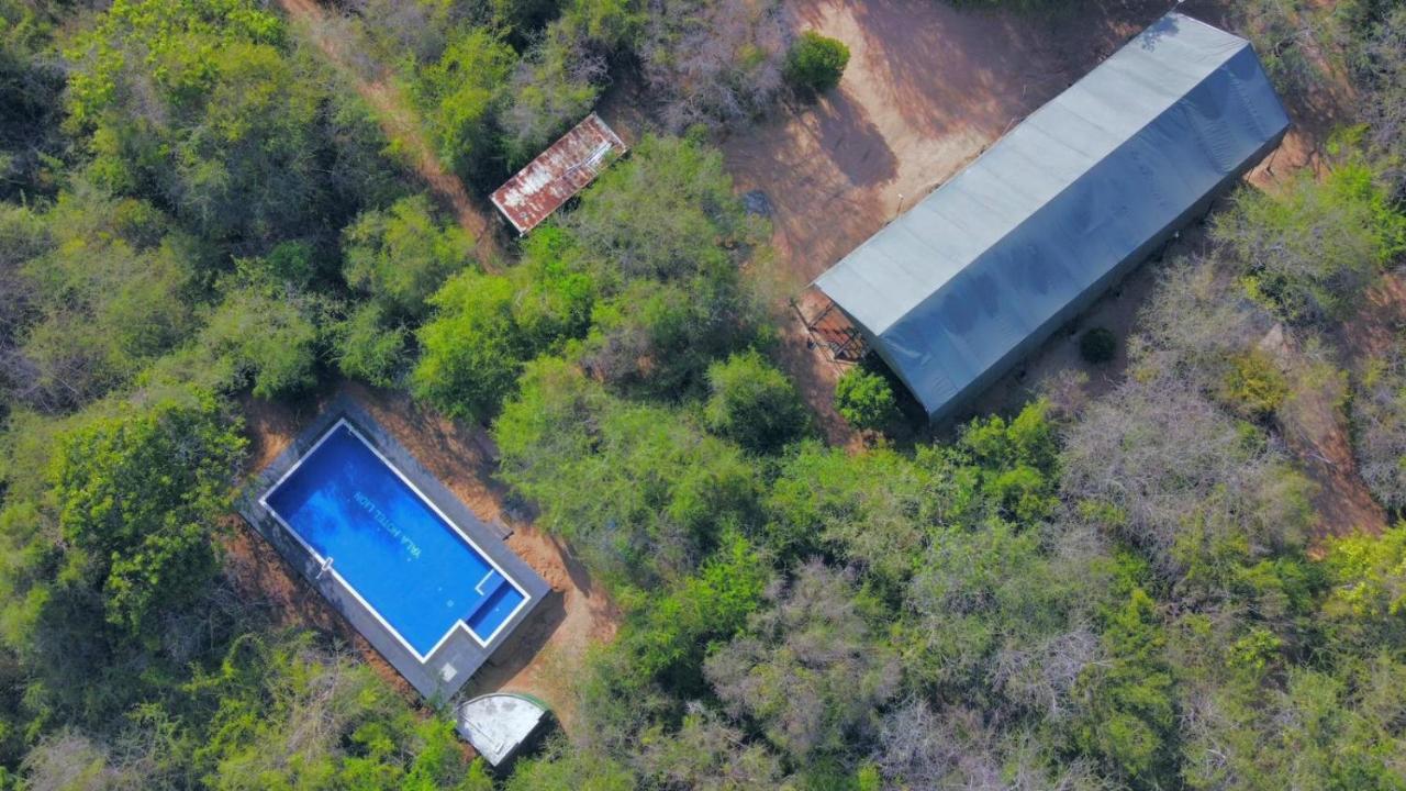Yala Hotel Lion -Air Conditioned High Luxury Safari Camp Exteriér fotografie