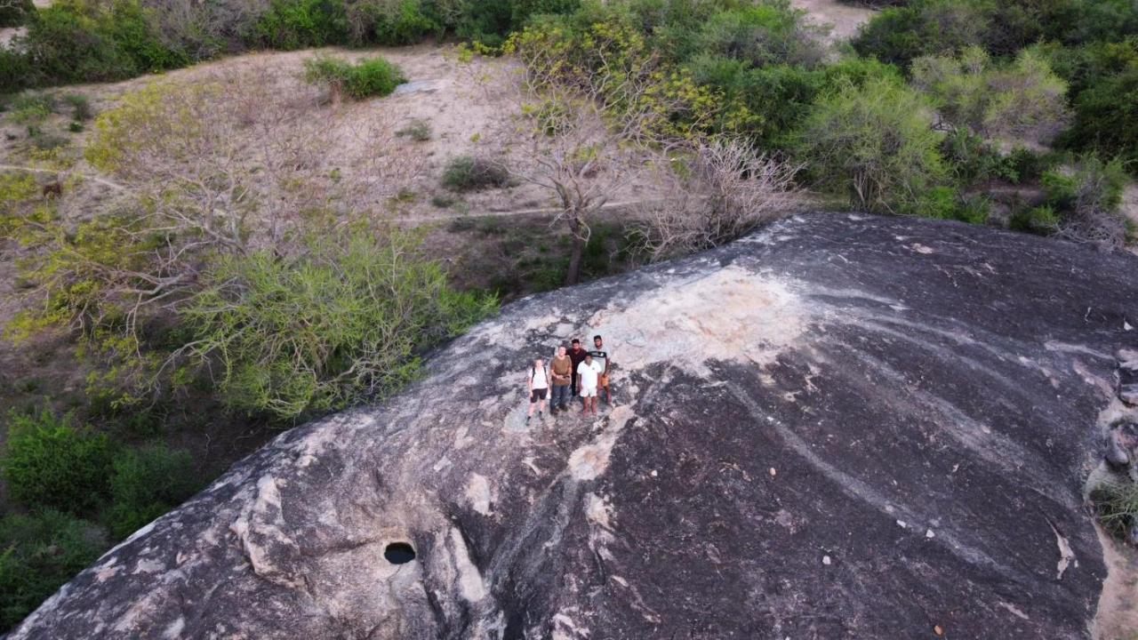 Yala Hotel Lion -Air Conditioned High Luxury Safari Camp Exteriér fotografie
