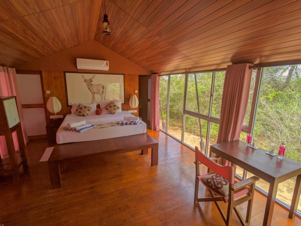 Yala Hotel Lion -Air Conditioned High Luxury Safari Camp Exteriér fotografie