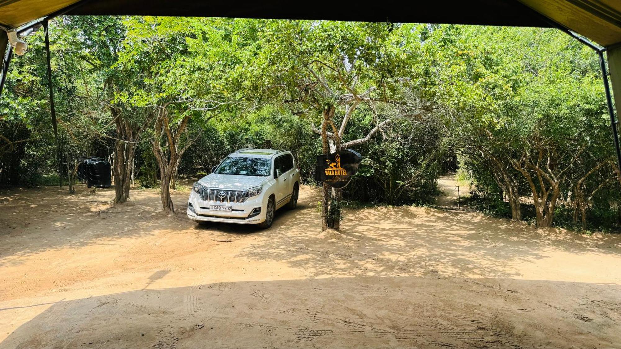 Yala Hotel Lion -Air Conditioned High Luxury Safari Camp Exteriér fotografie