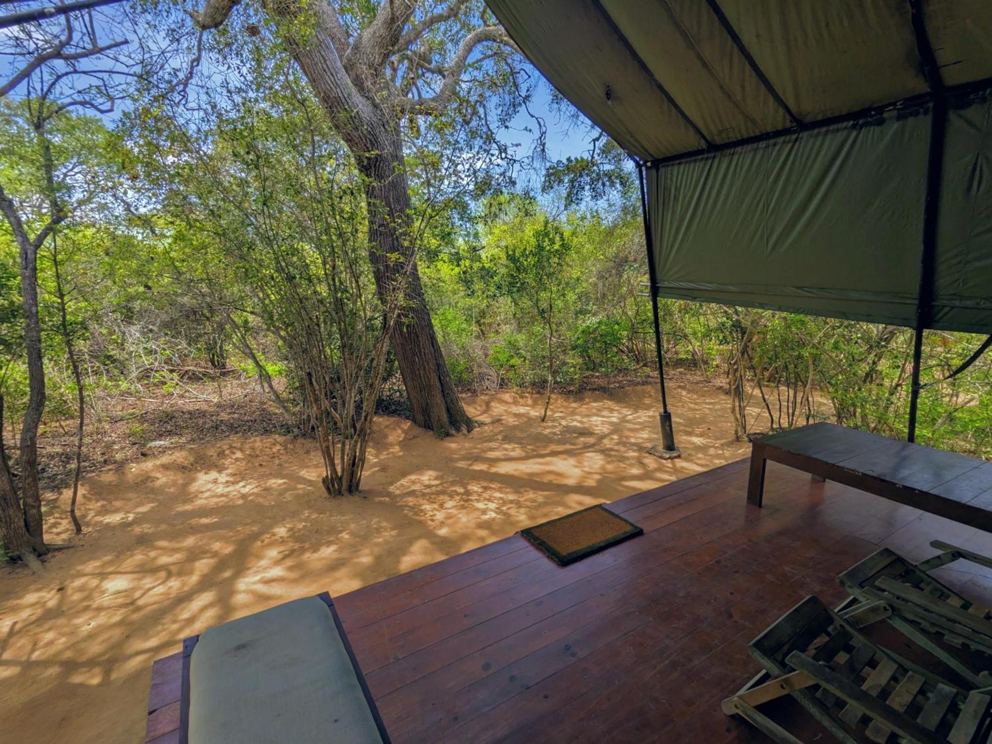 Yala Hotel Lion -Air Conditioned High Luxury Safari Camp Exteriér fotografie