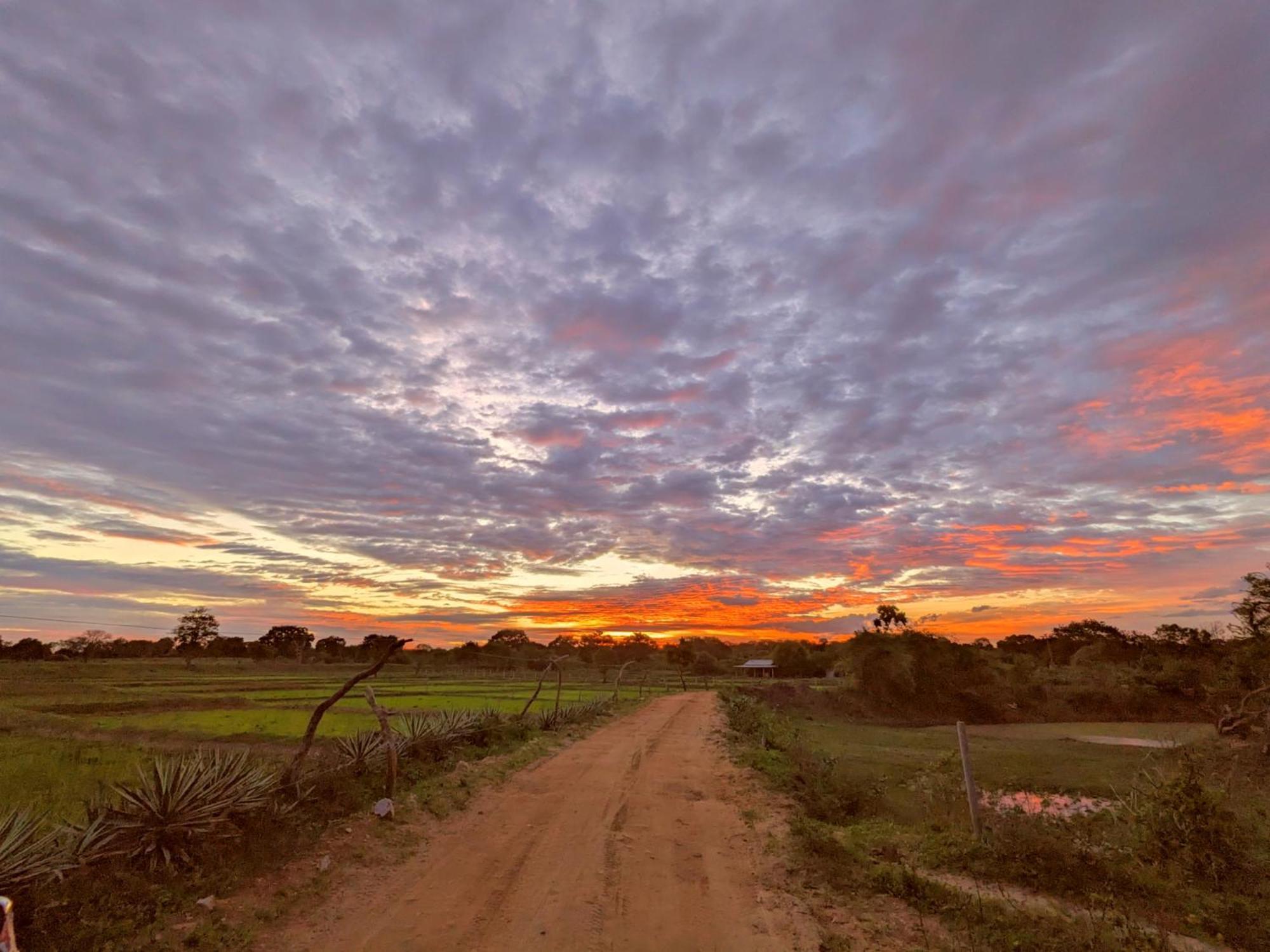 Yala Hotel Lion -Air Conditioned High Luxury Safari Camp Exteriér fotografie