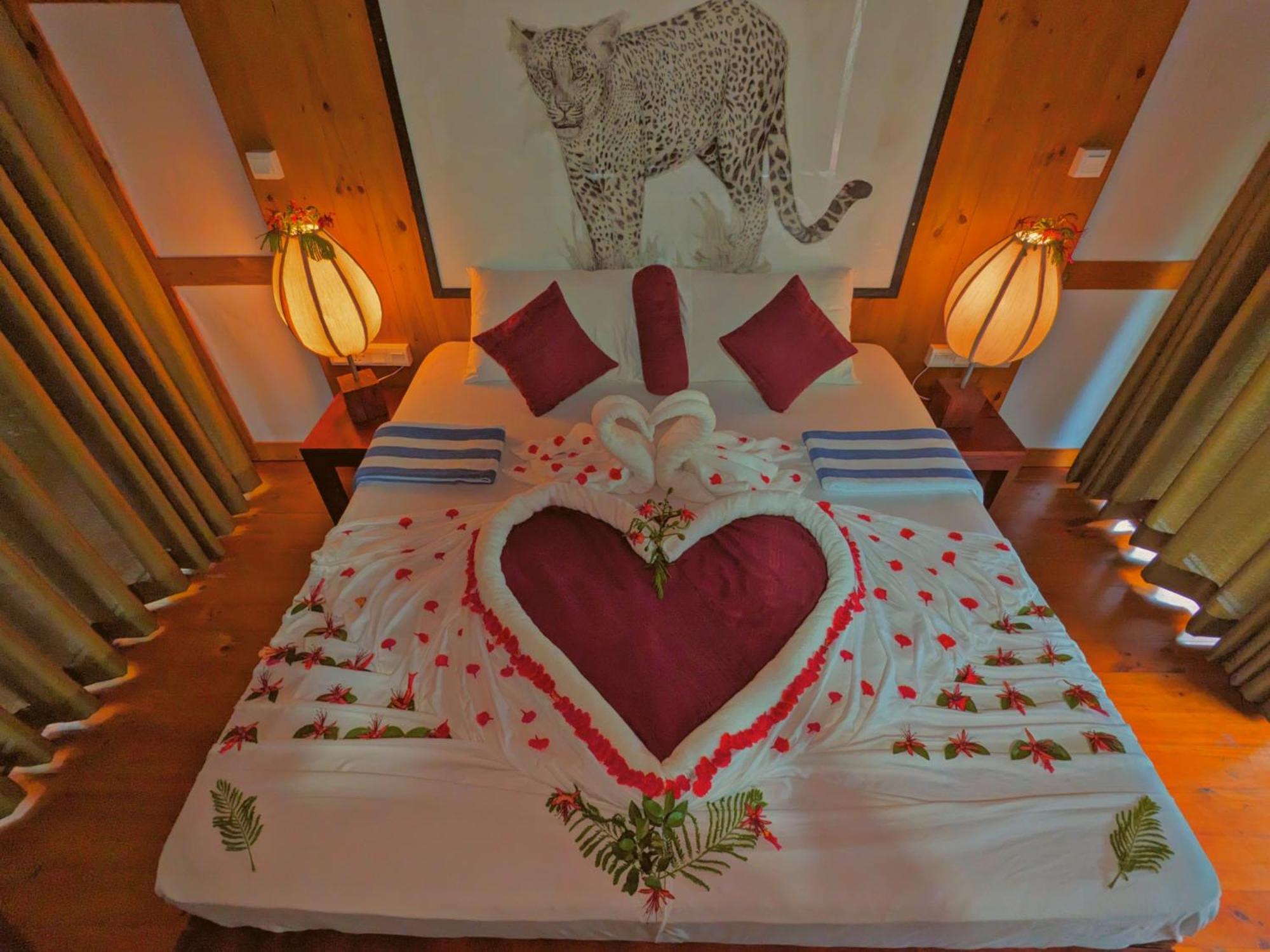 Yala Hotel Lion -Air Conditioned High Luxury Safari Camp Exteriér fotografie