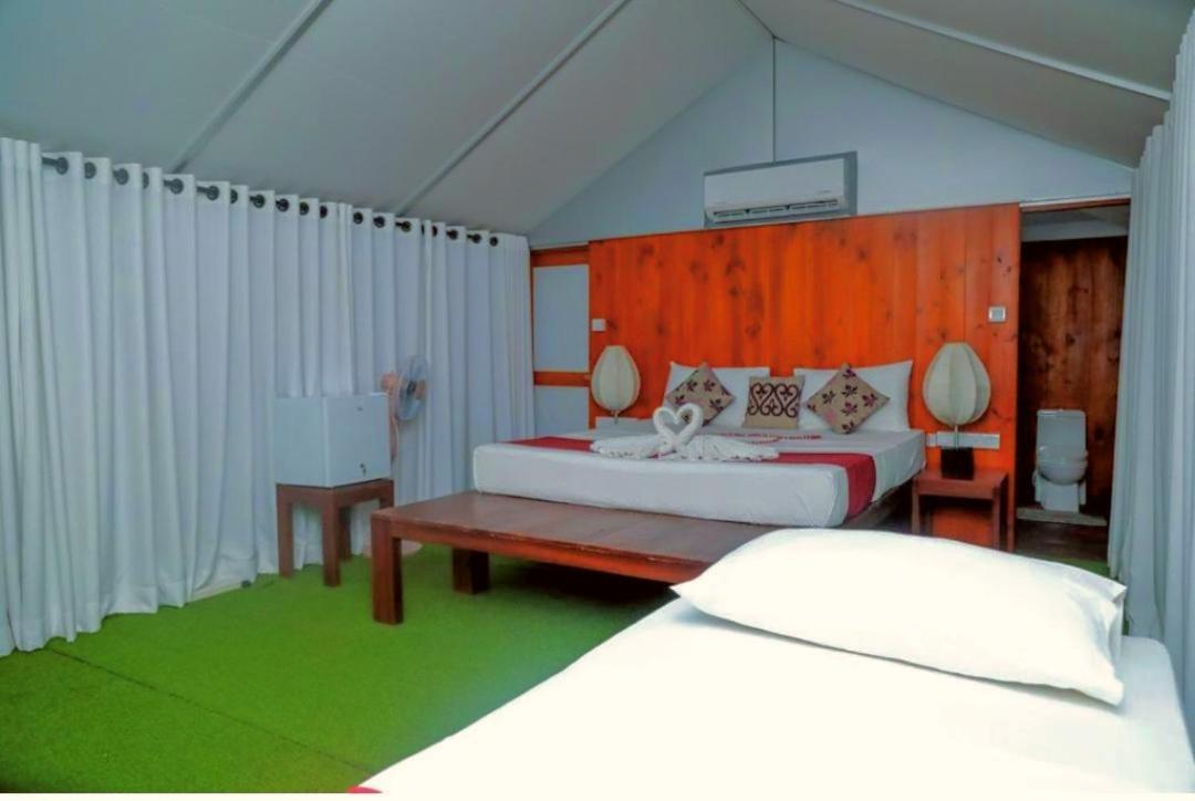 Yala Hotel Lion -Air Conditioned High Luxury Safari Camp Exteriér fotografie