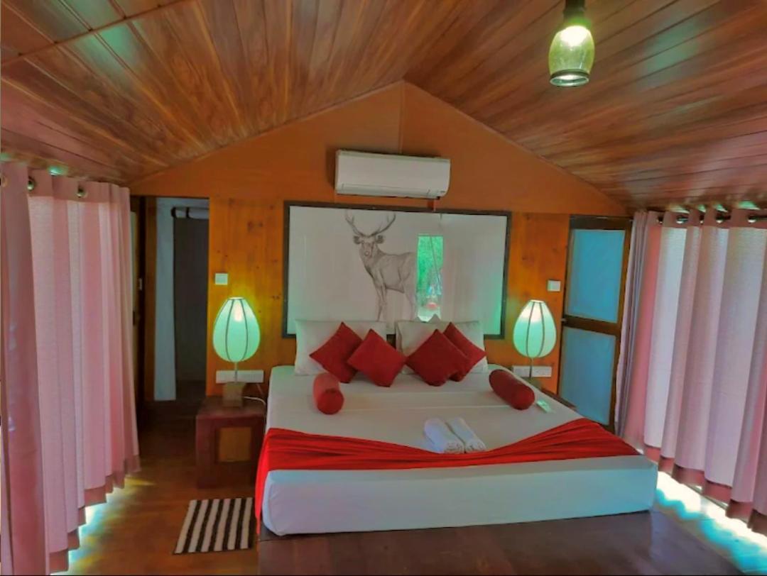 Yala Hotel Lion -Air Conditioned High Luxury Safari Camp Exteriér fotografie